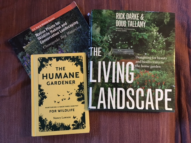 Dig This Dec Jan 2018