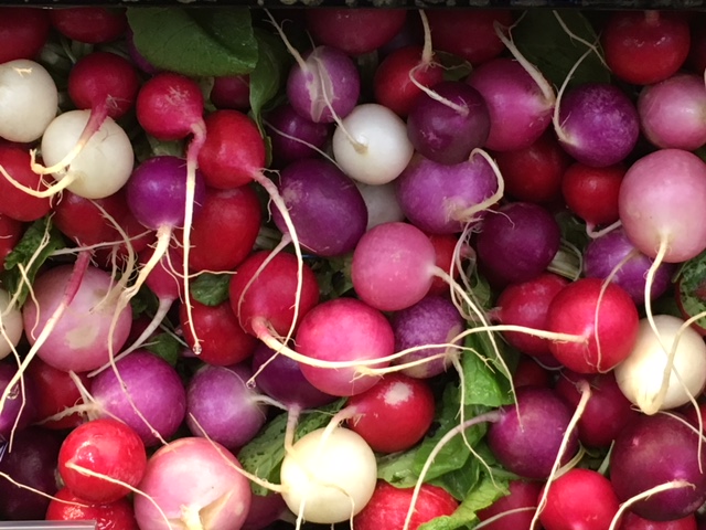 radishes
